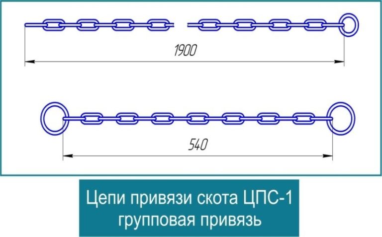 Конечная цепь. Цепи привязи скота 