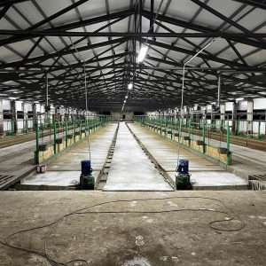 Транспортер навозоуборочный скребковый КСН-Ф-100 (ТСН-2.0Б)